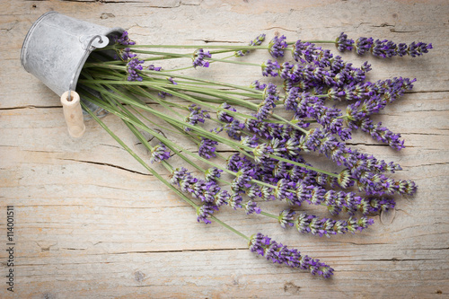 Fresh lavender flowers