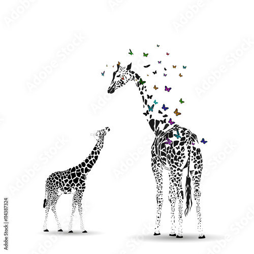 Obraz Fotograficzny Giraffe with her baby