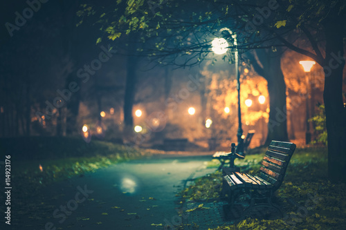 A Night in the Park