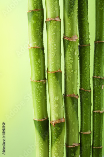 zielony-bambus-tlo-z-kropli-wody