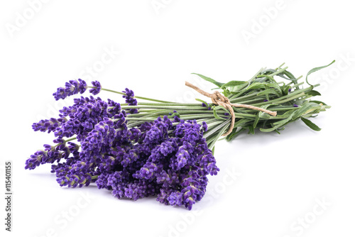 Lavender flowers bunch