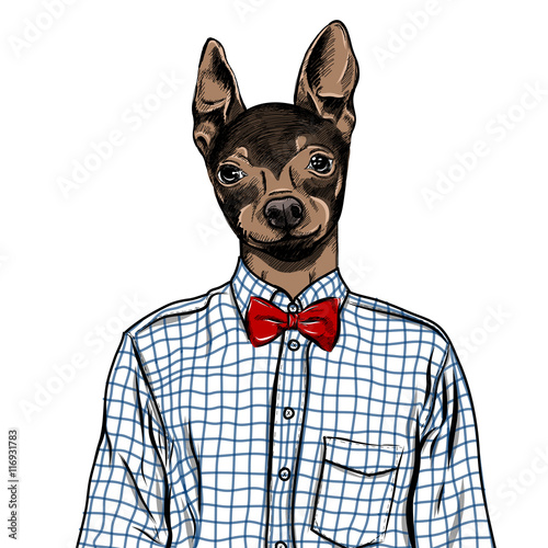 hand-drawn-fashion-illustration-wystrojony-w-gore-angielski-toy-terrier-w-kolorach-wektor