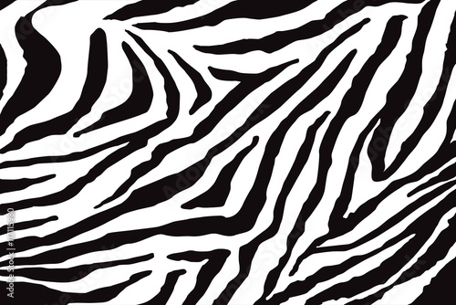Zebra Pattern Vector