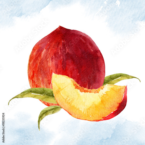 Zdjęcia Watercolor tasty peach