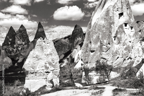 Fantastic black and white landscape with cone-shaped rocks . Poster