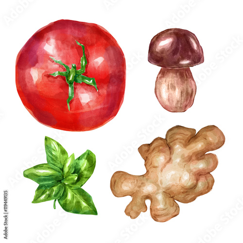 Zdjęcia Watercolor vegetables set with mint white mushroom tomato ginger