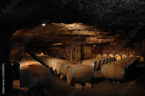 Lacobel Wine barrels in cellar.