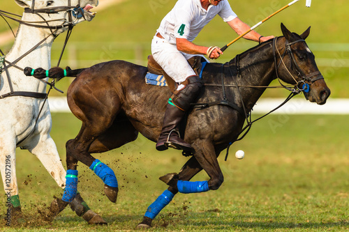 polo-players-ponies-ecuestre-juego-de-accion