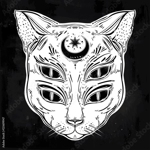 Black cat head portrait with moon and four eyes.