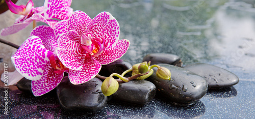 kamienie-bazaltowe-zen-i-orchidea