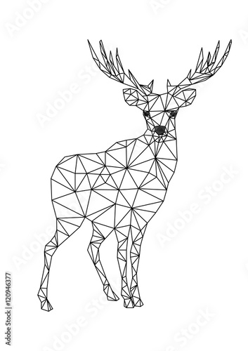  Low poly character of deer. Designs for xmas. Christmas illustration in line art style. Isolated on white background.