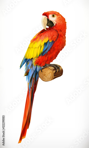 ara-papagei-ara-foto-realistisch-3d-vektor-symbol