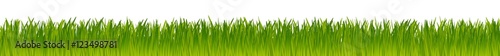 green realistic vector grass meadow isolated on white background