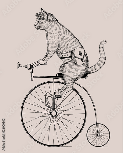 steampunk-katze-auf-retro-fahrrad-mit-tasche-und-glasern-in-radierart-lokalisiert