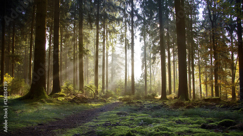 Herbst im Odenwald