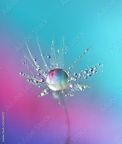 Obraz na płótnie Beautiful dew drops on a dandelion seed. Close-up. Sparkling bokeh. Beautiful light blue and violet background.