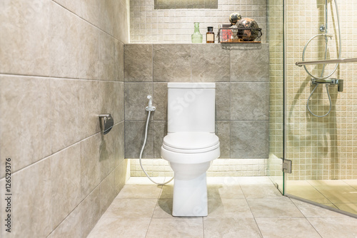 Lacobel White toilet bowl in modern bathroom at hotel. Interior of toile