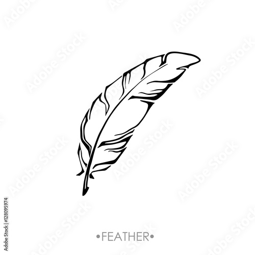 indische-boho-feder-hand-gezeichnet