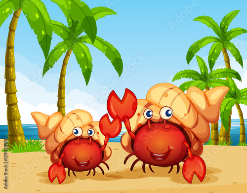 dos-cangrejos-ermitanos-en-la-playa