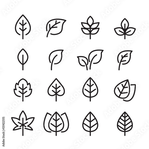leaf line icon set