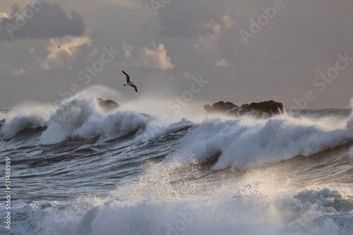 Sea storm with big breaking waves