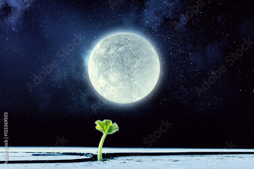 Is there life on moon . Mixed media