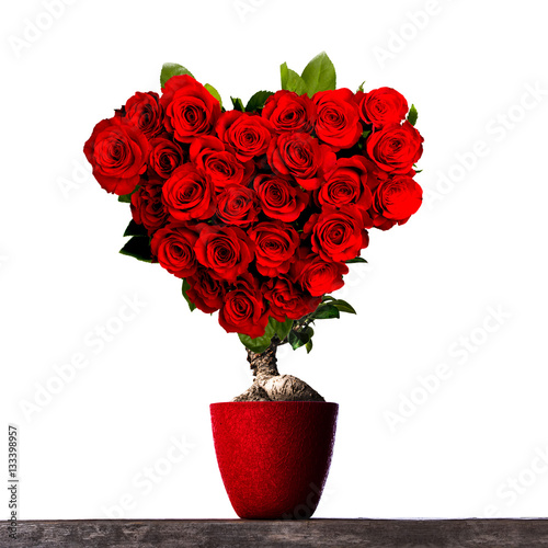 Tree of love
