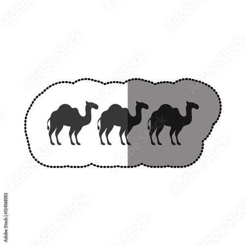 camels animals silhouettes icon vector illustration graphic design