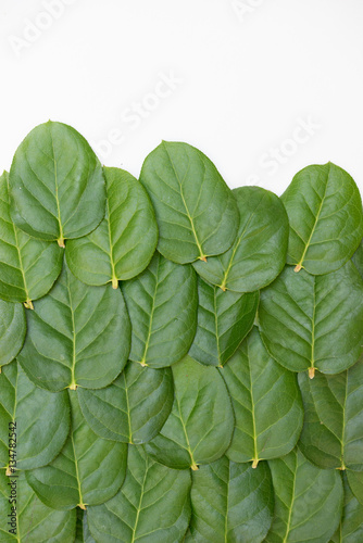 lime leaves