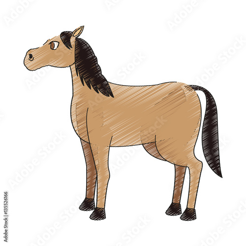 horse cartoon icon over white background. vector illustration