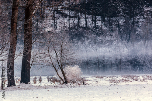 paesaggio invernale
