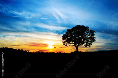 Sunrise with tree.