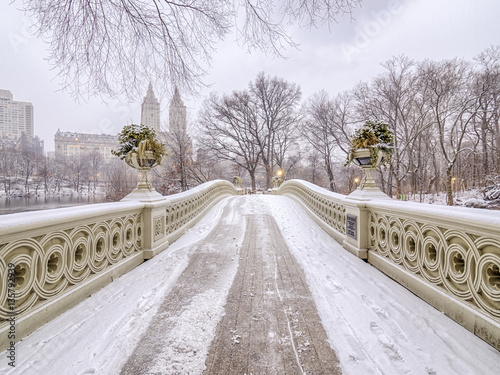 Bow bridge Central Park during snow storm