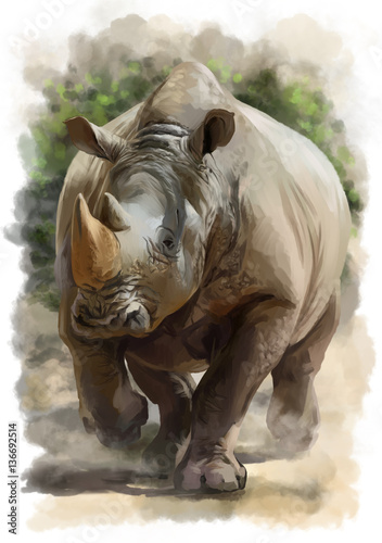 Obraz Fotograficzny Running Rhino