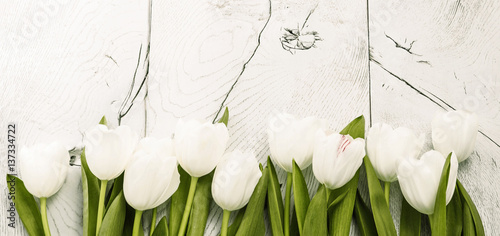 biali-tulipany-na-drewnianym-tle