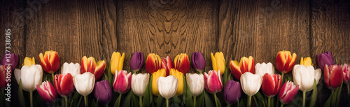 Fototapeta Spring tulips on wooden background