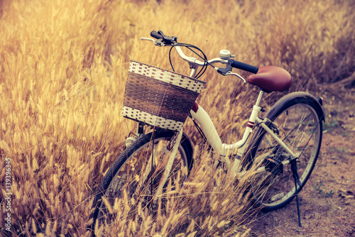 Obraz na płótnie Vintage Bicycle with Summer grassfield