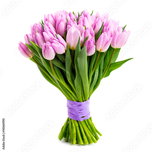 Obraz na płótnie violet tulips isolated on white