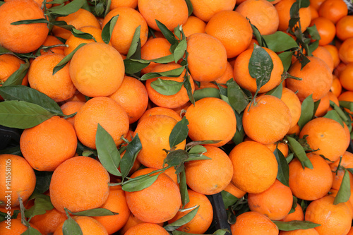 oranges with leaf after the harvest in the Mediterranean orchard