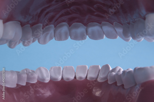 Teeth inside of mouth | Buy Photos | AP Images | DetailView