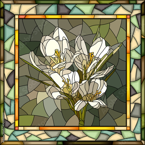 wektorowa-ilustracja-kwiatu-bielu-krokus