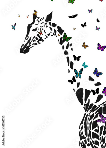 Obraz na płótnie Vector silhouette of giraffe with butterflies flying around.