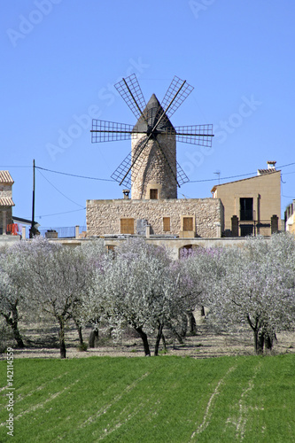 Poster Windmill in Sineu on Majorca, Balearic Islands, Spain, Europe