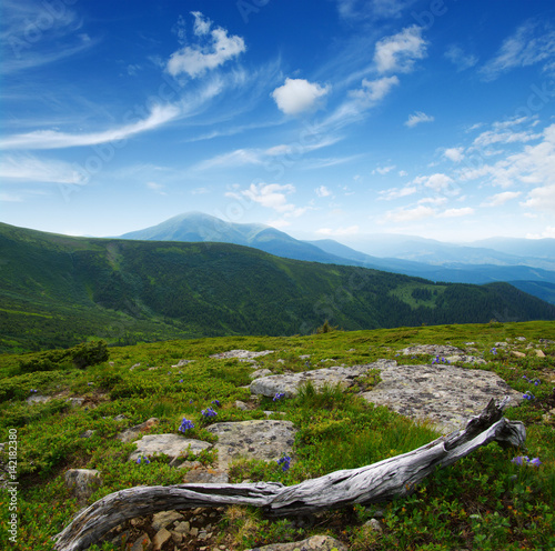 Mountain landscape in summer