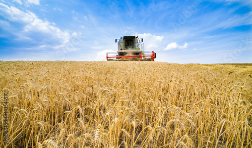 Combine harvester in action on wheat field. Harvesting is the process of gathering a ripe crop from the fields. © oticki