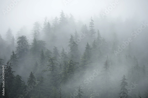 drzewa-na-gorach-w-mglisty-poranek-na-alasce