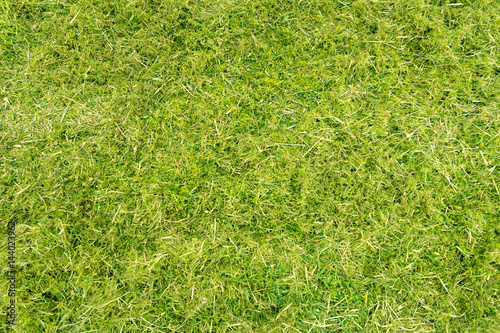 Draufsicht, gemähte grüne Wiese mit Gras und Moos