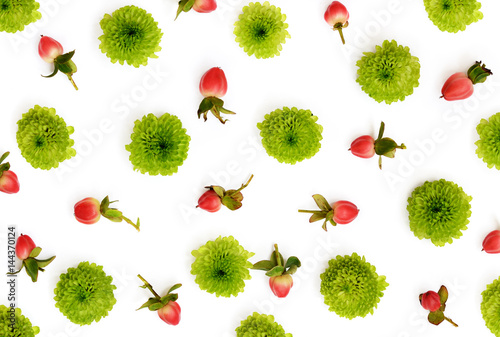 Green chrysanthemum and red berries