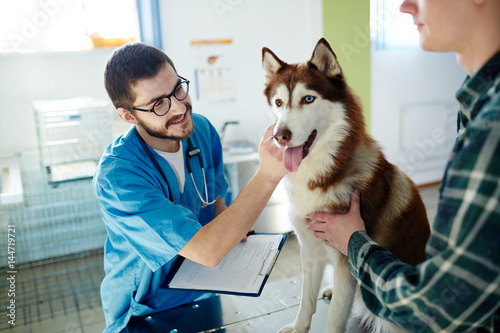Poster Happy doctor looking at his husky patient with owner near by