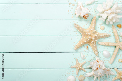 seashell and starfish on the wooden board